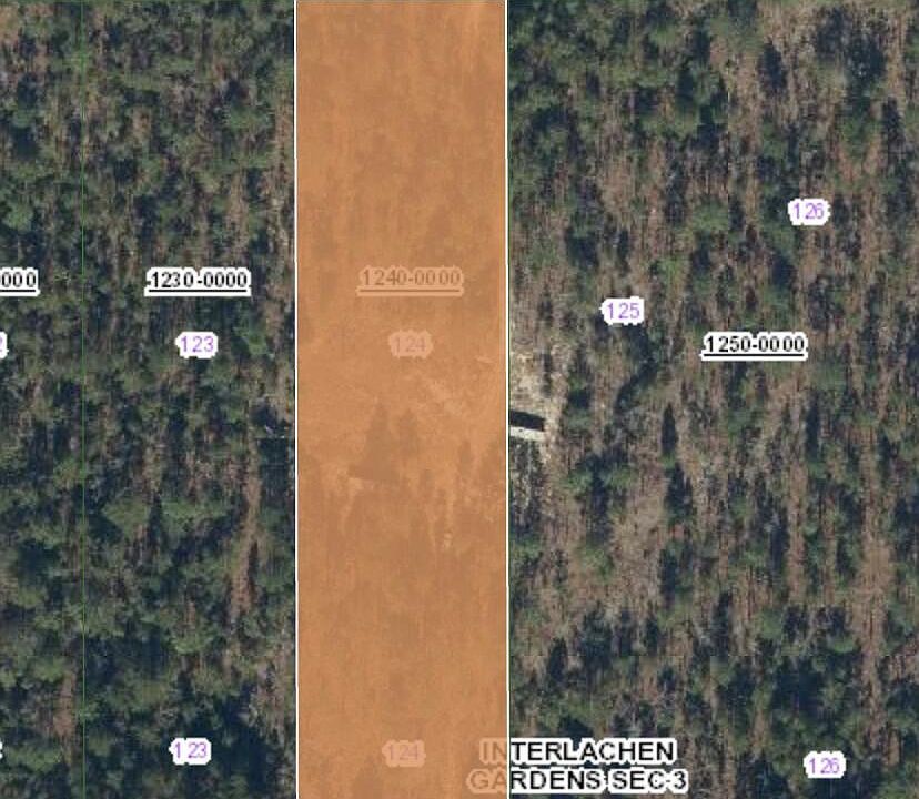 2nd image of 511 LILY Trail