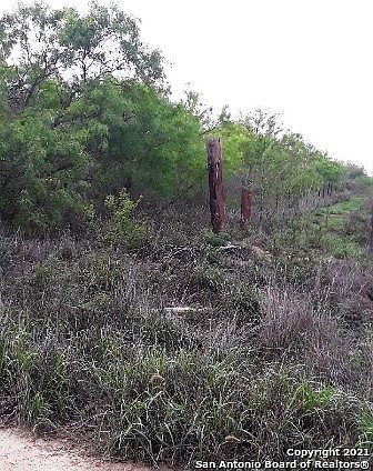 4th image of #12 Laguna Pasture