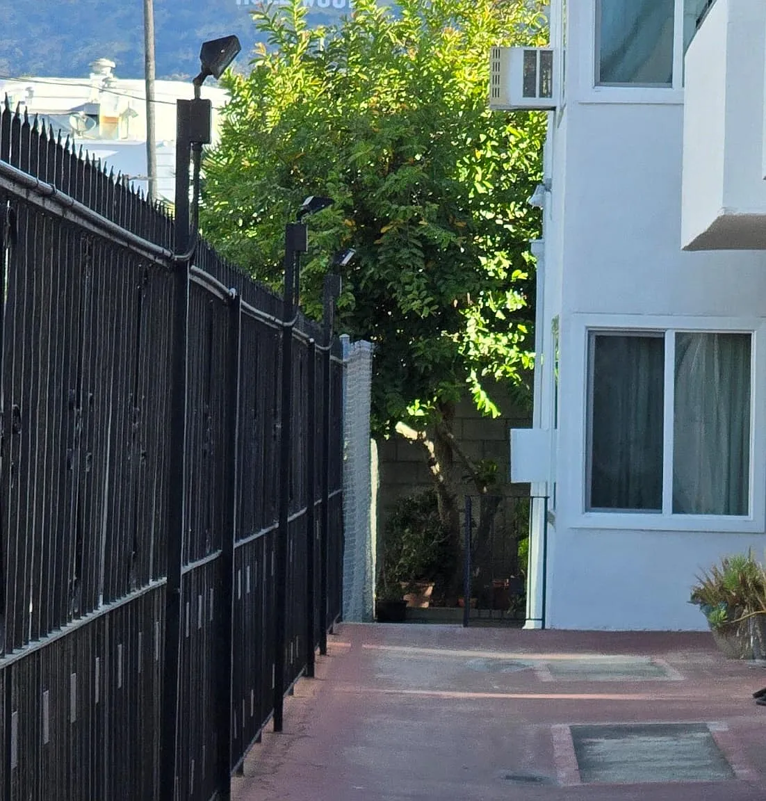 1 bed, 700 sqft, $2,100 — Photo 2