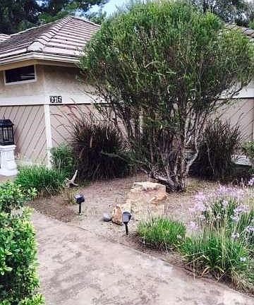 3rd image of 675 Wildcreek Cir