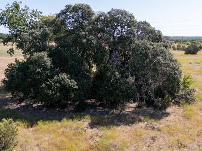 Fm 203, Walnut Springs, TX, 76690