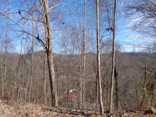 148 Plainview Rdg, Sylva, NC 28779