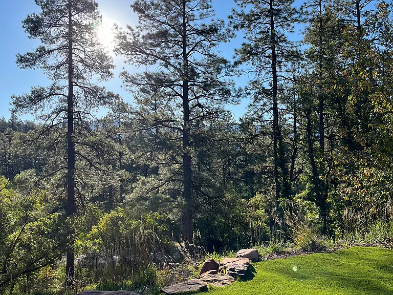 Summer view from deck