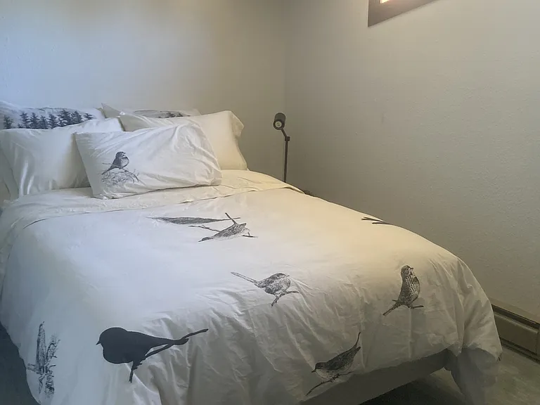 1063 Vail View Dr #24 — Photo 4