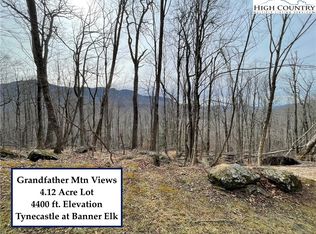TBD Tynecastle Drive, Banner Elk, NC 28604
