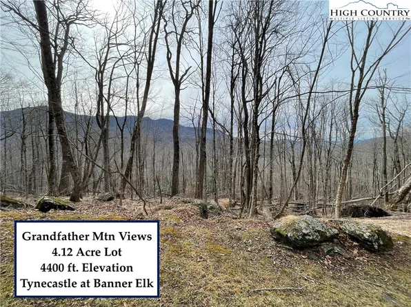 TBD Tynecastle Drive, Banner Elk, NC 28604