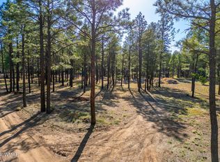 2876 Homestead Dr, Overgaard, AZ 85933