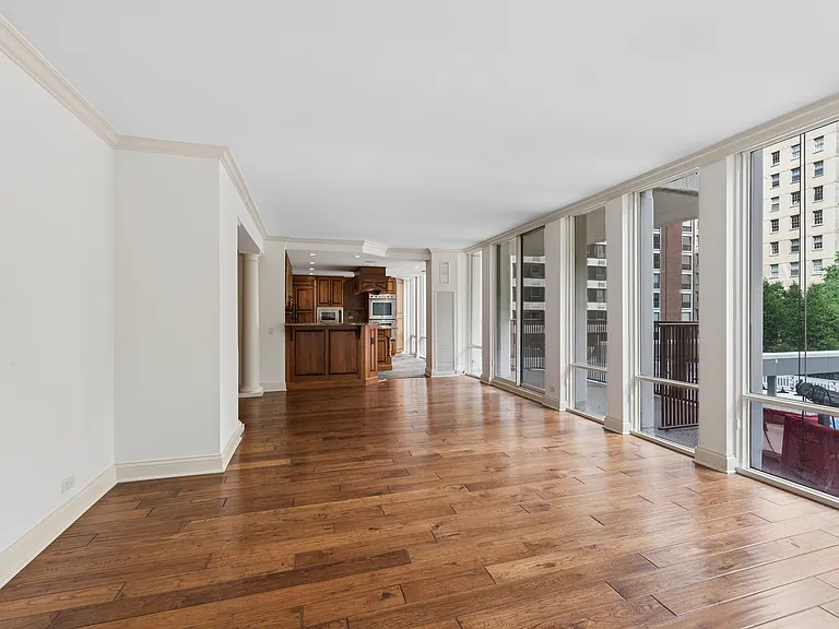 200 E Delaware Pl #4DE — Photo 12