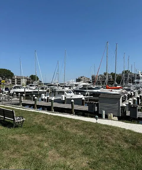 7036 Harbour Village Ct #T1 — Photo 46