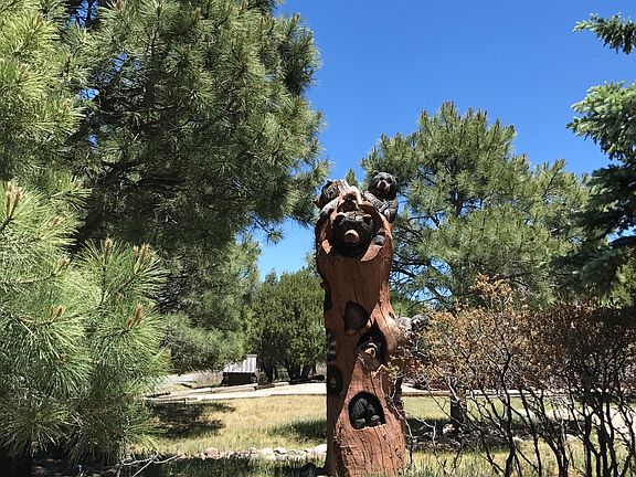 A most amazing totem pole