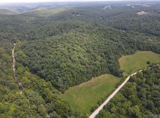County Road 3002, Yellville, AR 72687