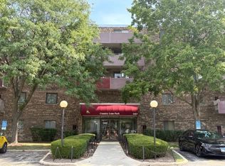 1463 Mercury Dr APT 408, Schaumburg, IL