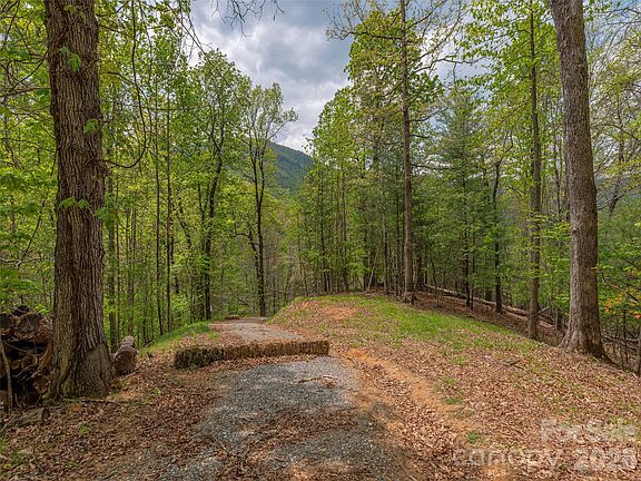 3rd image of 0 Caney Fork Rd