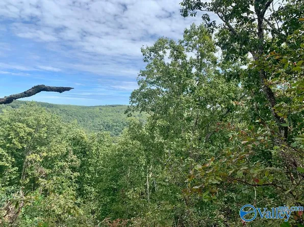 640 Blowing Cave Rd, Gurley, AL 35748
