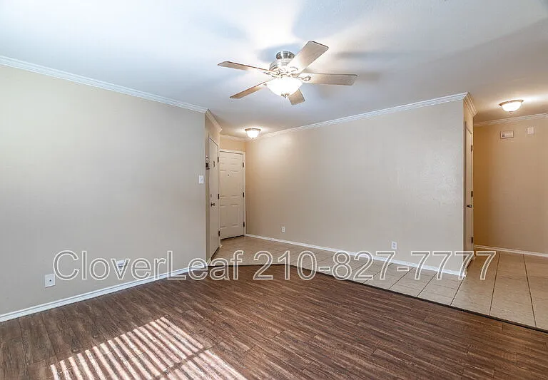 10343 Lion Chase — Photo 8