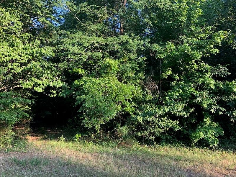 2nd image of 1395 Tanyard Creek Dr