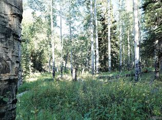 464 Hidden Point, Florissant, CO 80816