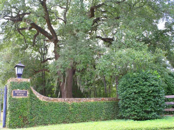 100 Nilo Ct, Leesburg, GA 31763