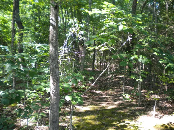 Dogwood Ln, Byrdstown, TN 38549