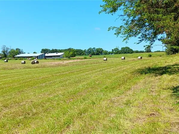 6991 Ely Rd, Hartville, MO 65667