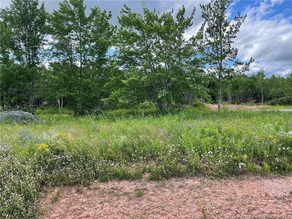 2nd image of 5 Fawcett Ave Lot 21