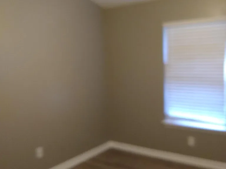 2nd Bedroom and closet.