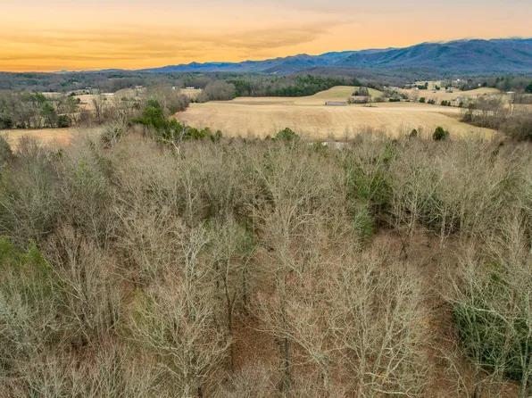 Jay Fanning Rd, Afton, TN 37616