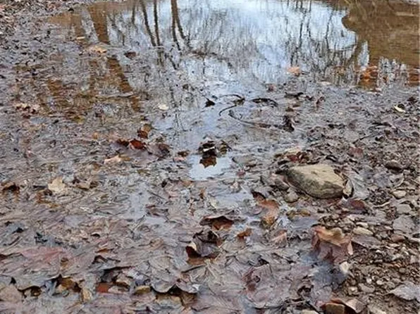 0 Road 29a, Longton, KS 67352