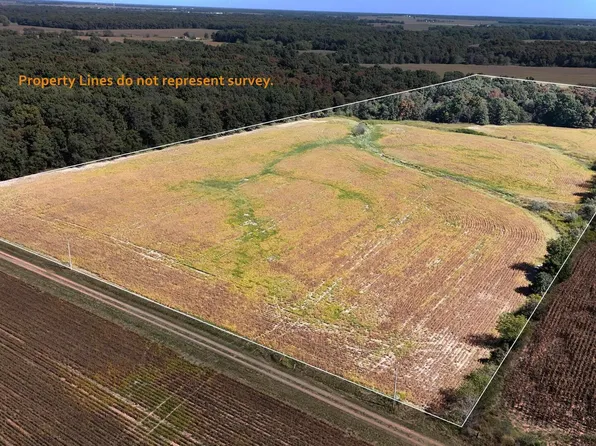 0 E Tallowtree Dr, Xenia, IL 62899