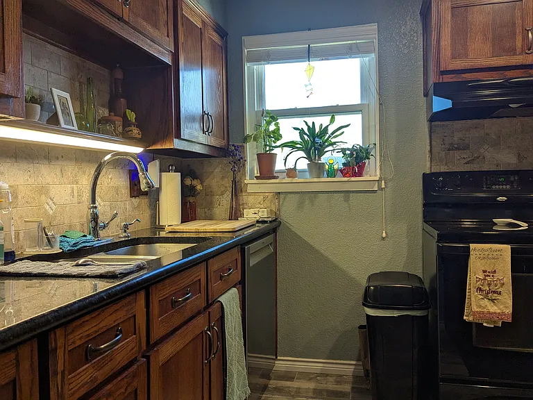 919 Milam Dr — Photo 3