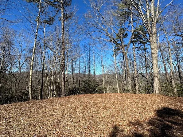 (undisclosed Address), Marble, NC 28905