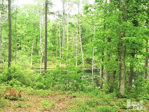 2nd image of 4053 Courtney Pines Loop NE