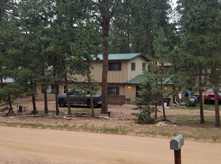 600 Sunnywood Ln, Woodland Park, CO 80863