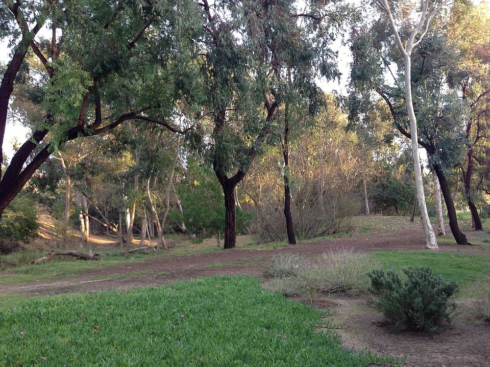 View from Master Bedroom