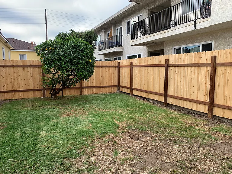 back yard