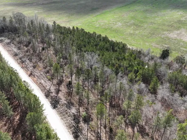 15 County Road 175, Piedmont, AL 36272