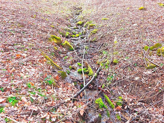 4th image of 250 Rome Beauty Rd #Tr5