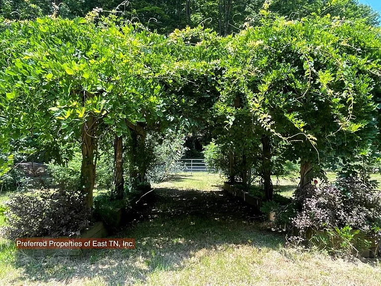 709 Brown Mountain Rd — Photo 28