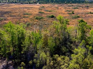 Salt South Rd, Lamont, FL 32336