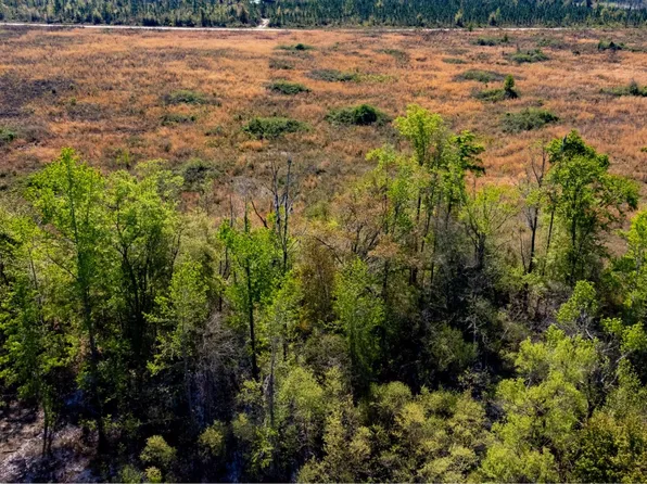 Salt South Rd, Lamont, FL 32336