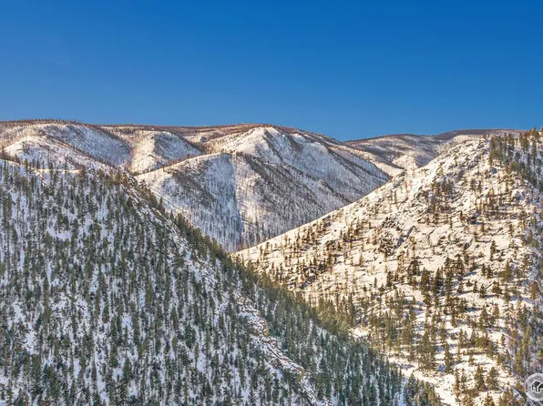 Black Hollow Rd, Bellvue, CO 80512