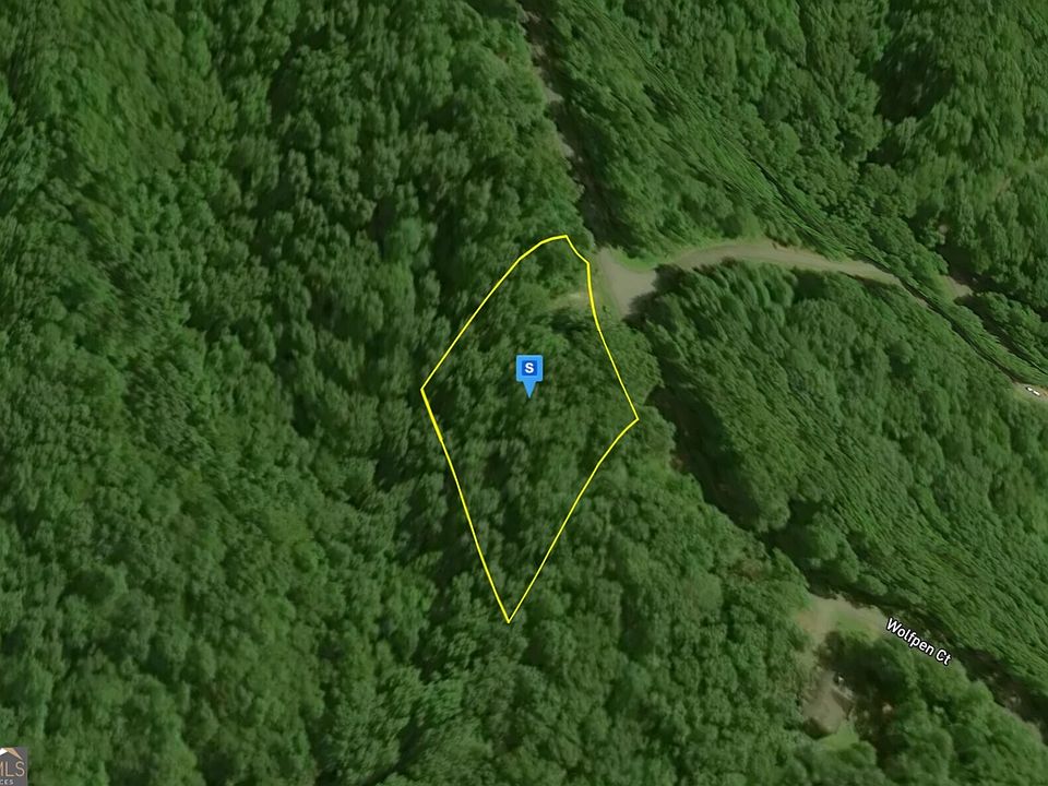 2nd image of 100 Wolf Pen Gap Rd