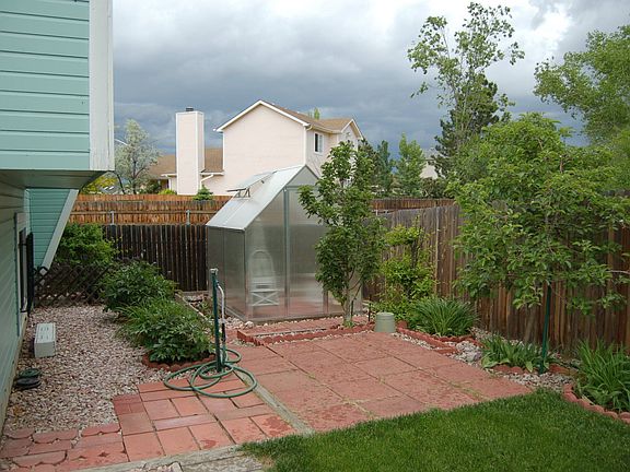 greenhouse/back yard