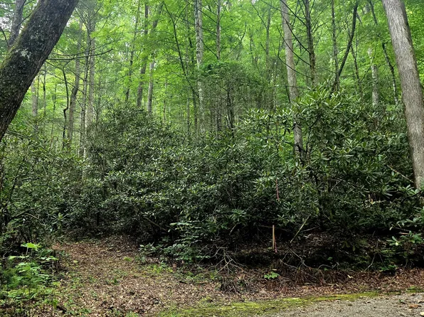 0 Holder Cemetery Rd, Tellico Plains, TN 37385