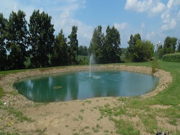 Pond