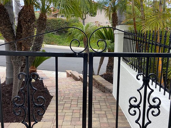 front pathway lined with gorgeous palms.