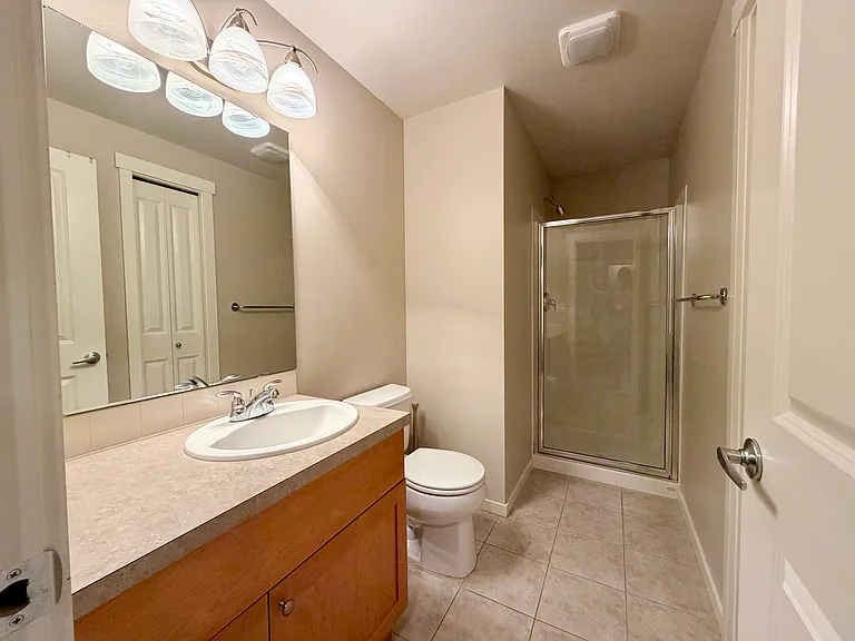 Basement bathroom with shower