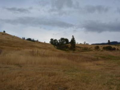 33XX Daisy Mine Rd, Rice, WA, 99167