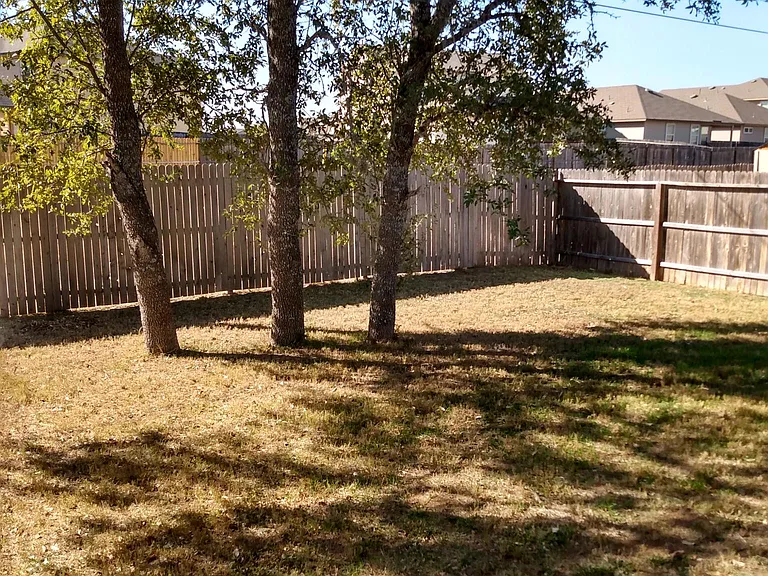 Shaded backyard