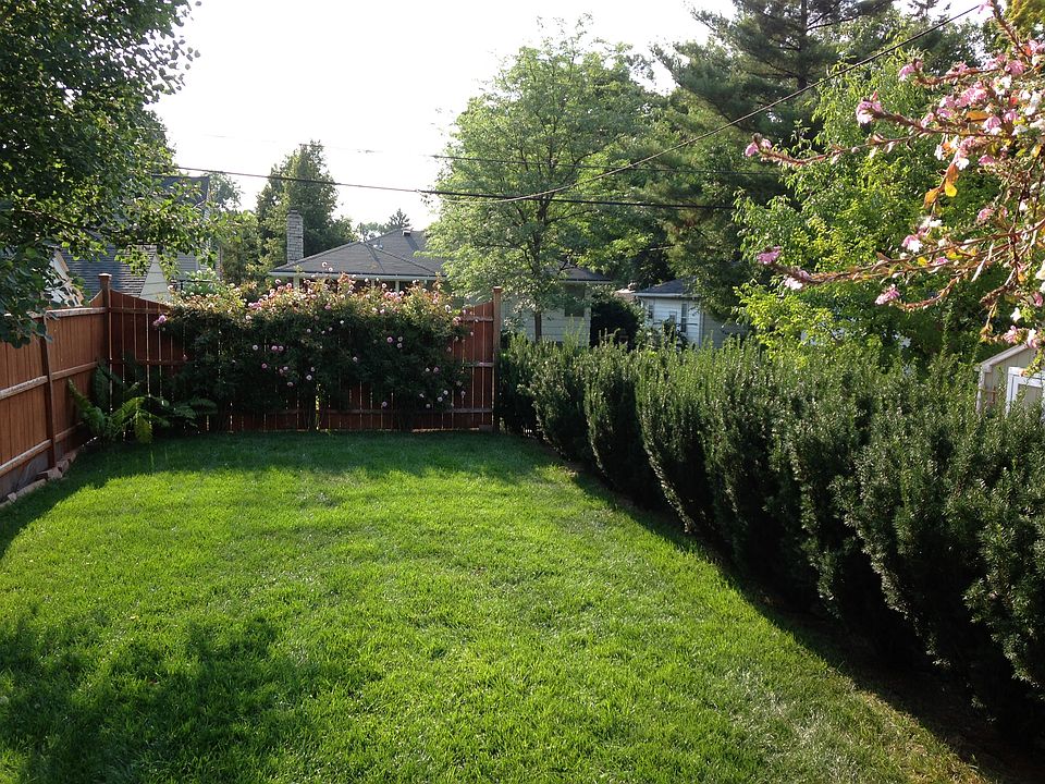 Fenced back yard + patio